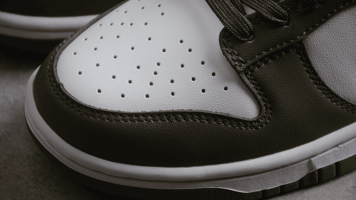 Dunk low Medium Olive 6