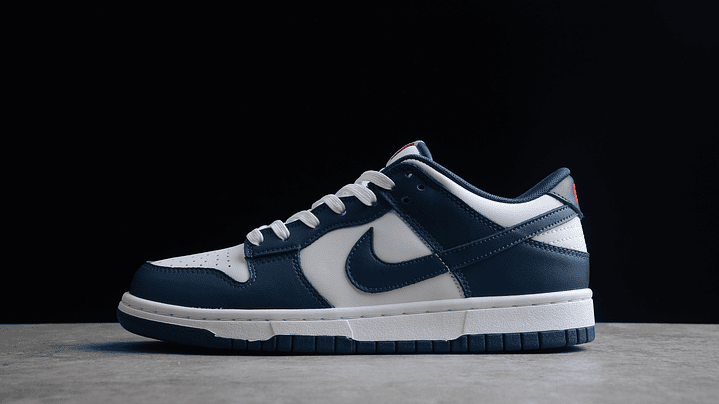 Dunk low navy blue 1