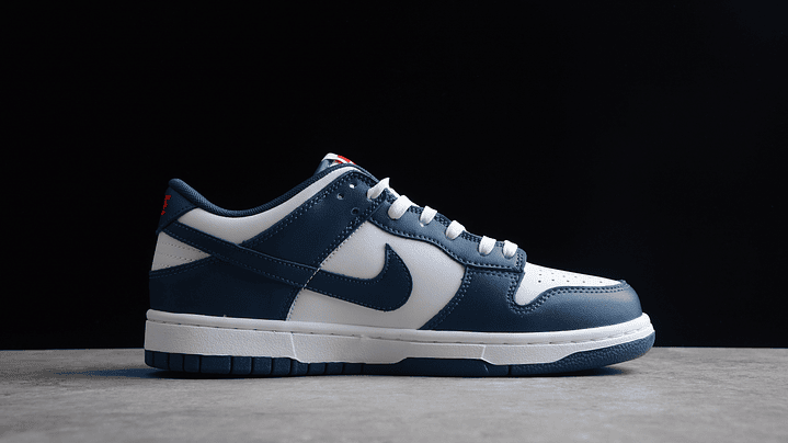 Dunk low navy blue 2