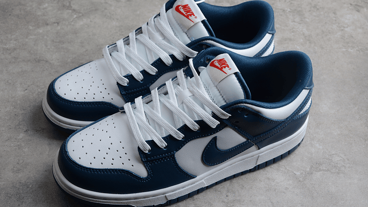Dunk low navy blue 5