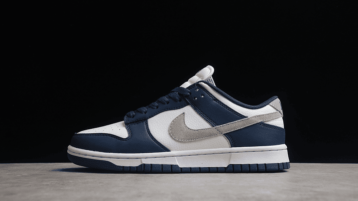Dunk low navy smoke grey 1