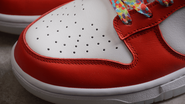 Dunk low Lebron james 6