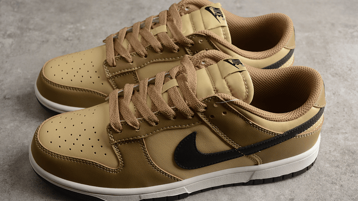 Dunk low driftwood 5