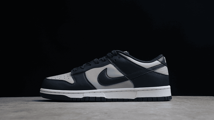 Dunk low georgetown 1