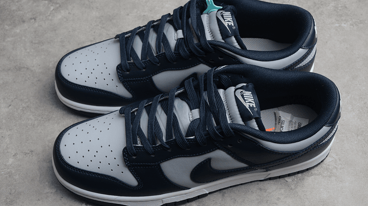 Dunk low georgetown 5