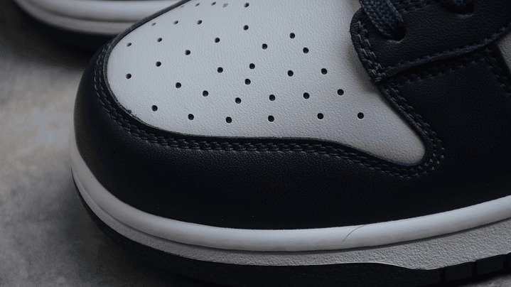 Dunk low georgetown 6