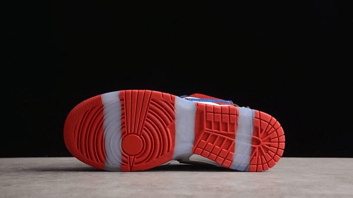 Dunk low sandy bodecker 3