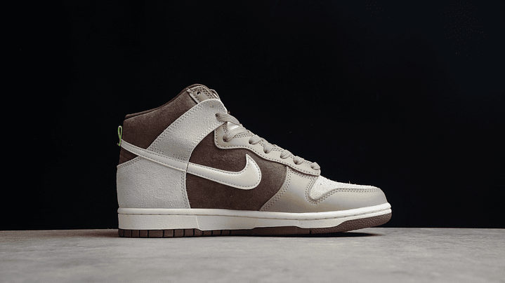 Dunk high light chocolate 2