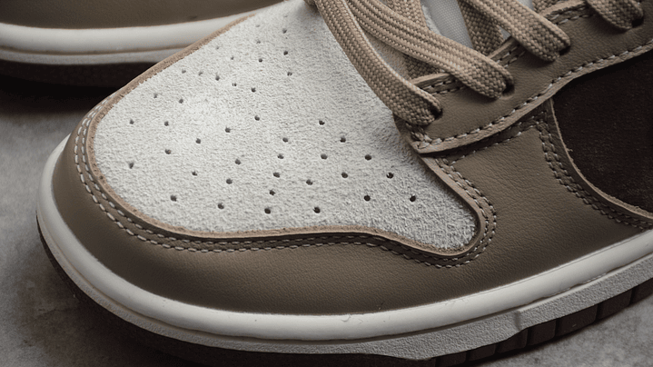 Dunk high light chocolate 6