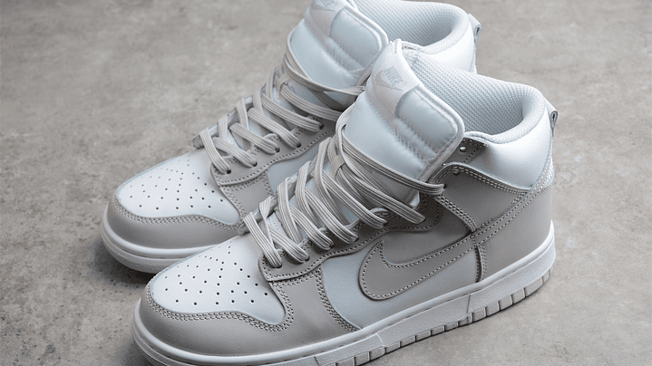 Dunk high silver 5