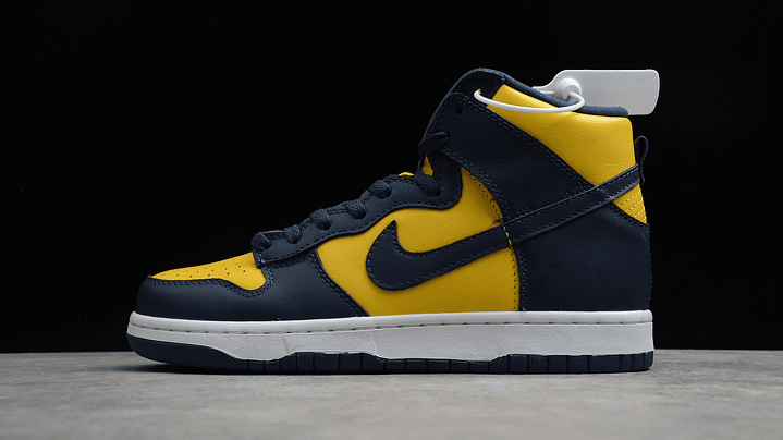 Dunk high michigan 1