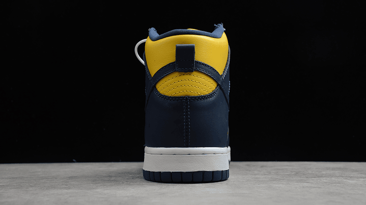Dunk high michigan 5