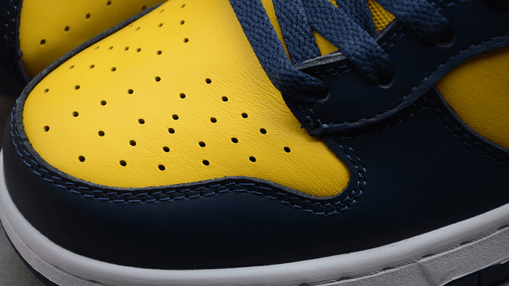 Dunk high michigan 6