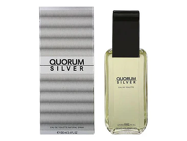 Quorum Silver 100ML EDT Hombre Puig 1