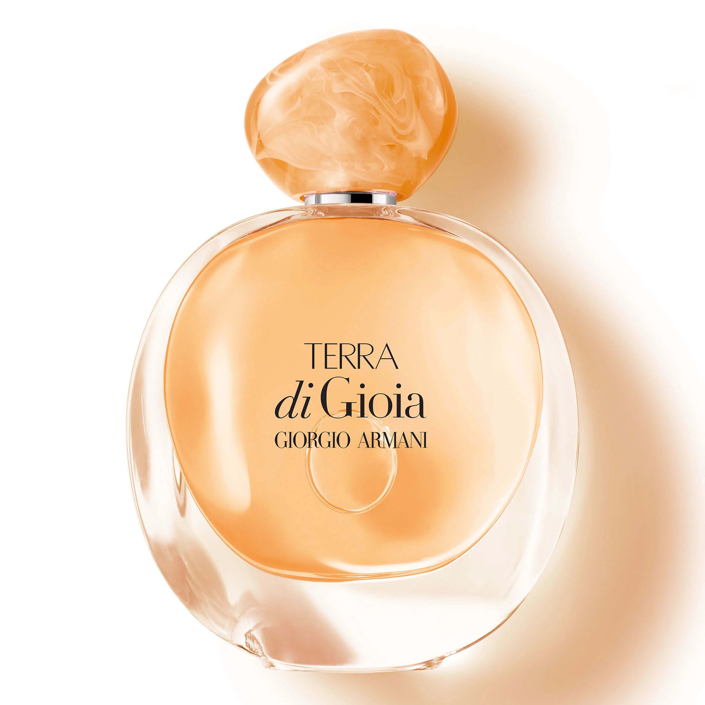 Terra Di Gioia  Giorgio Armani Edp 100ml Mujer Tester 1