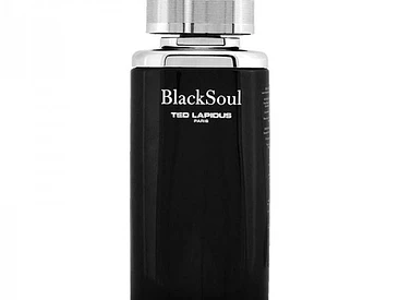 Black Soul Tester 100ML EDT Hombre Ted Lapidus 1