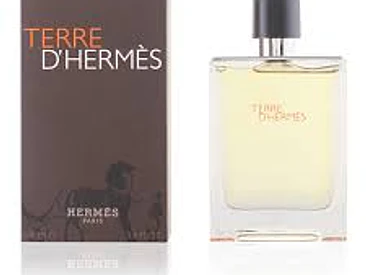 Perfume Terre d'Hermes Edt 100ml Hombre 1