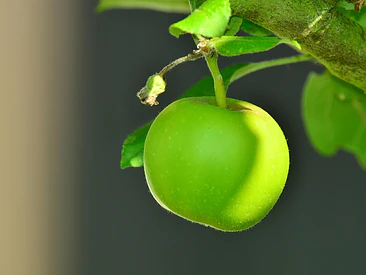 DKNY Be Delicious (Manzana verde) EDP 100 ML (M) 3