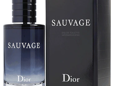 Dior Sauvage EDT 100 ML (H) 1
