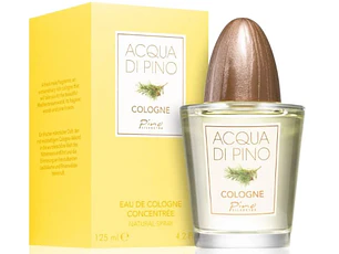 Perfume Pino Silvestre EDT 125 ML (H)
