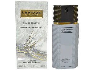 Ted Lapidus EDT 100 ML (M)
