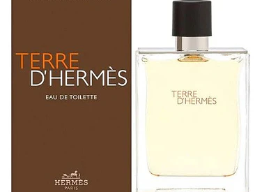Terre D'hermes Hermes EDT 100 ML (H) 1