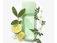 Green Tea Elizabeth Arden EDP 100 ML (M) . - Miniatura 2