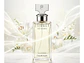 Eternity Calvin Klein EDP 100 ML (M) - Miniatura 3