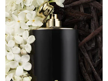 Intense Ralph Lauren EDP 100 ML (M) 2