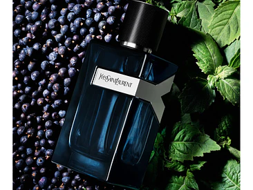 Intense Yves Saint Laurent EDP 100 ML (H) 3