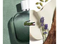 Blanc Eau Intense Lacoste EDT 100 ML (H) - Miniatura 2