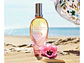 Brisa Cubana Escada EDT 100 ML (M) - Miniatura 2