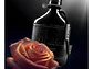 Dumont Intense Nitro EDP 100 ML (H) - Miniatura 2