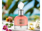 Candid Maison Alhambra EDP 100 ML (M) - Miniatura 2