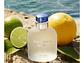 Dolce & Gabbana Light Blue Pour Homme EDT 125 ML (H) - Miniatura 3