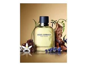 Dolce & Gabbana EDT 75 ML (H)