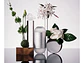 212 Carolina Herrera EDT 100 ML (M) - Miniatura 2