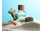 Cactus For Him United Dreams EDT 100 ML (H) - Miniatura 2