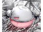 Be Delicious Fresh Blossom Dkny EDP 100 ML (M) - Miniatura 2