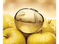 Golden Delicious Dkny EDP 100 ML (M) - Miniatura 2