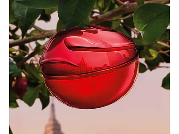 Be Tempted Dkny EDP 100 ML (M) 2
