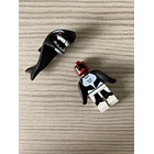 Orca 2