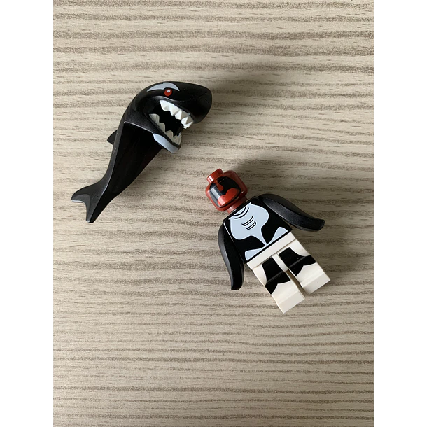 Orca 2