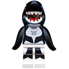 Orca 1