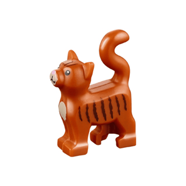 Gato, de pie con ojos negros, pecho y hocico de color canela oscuro, rayas de color marrón oscuro y patrón de nariz de color rosa brillante