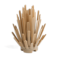 Planta, Arbusto Espinoso 2 x 2 x 4