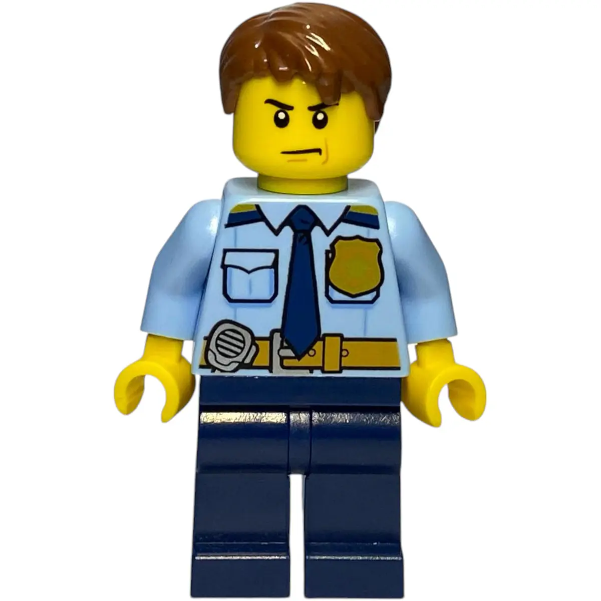 Policia - camisa celeste, corbata pelo castaño | Brick Shipping Chile®