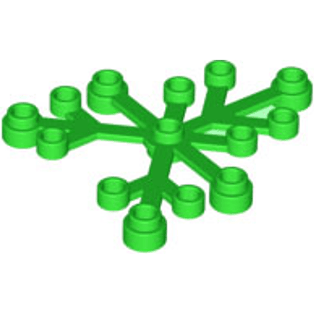 Planta, Hojas de Planta 6x5  1