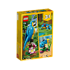 Loro Exótico - Reacondicionado 8