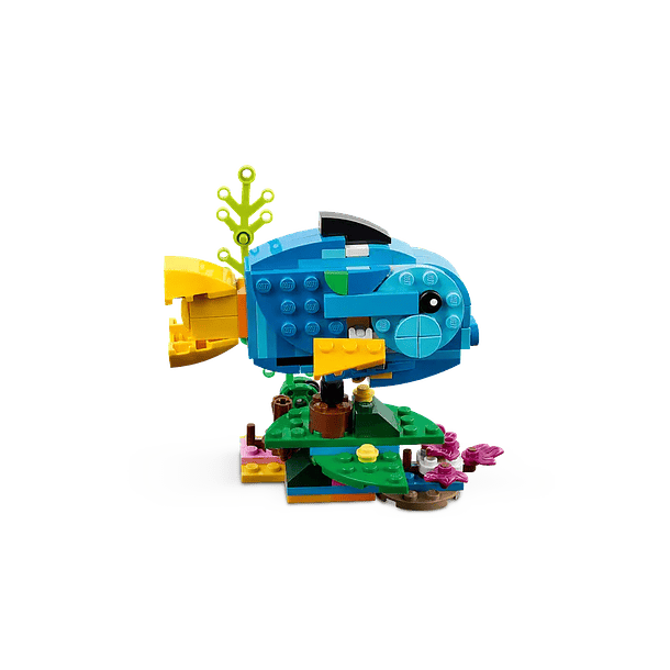 Loro Exótico - Reacondicionado 3